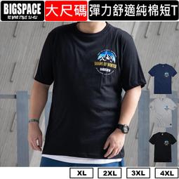 大尺碼短袖 山系回歸經典小圖 男裝大尺碼棉t 純棉短t 大尺碼上衣 XL~4XL BIGSPACE【D11】【加大空間】 歷史價格詳細信息