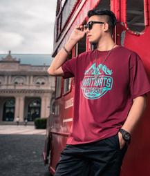 大尺碼T恤純棉短袖t恤純棉短袖T恤男嘻哈寬鬆潮流大尺碼五分短袖體恤衫 歷史價格詳細信息