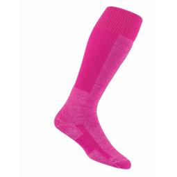 【n0900台灣健立最便宜】2018 Thorlos美國製專業美麗諾羊毛登山健行襪(中厚底) WLTH 歷史價格詳細信息