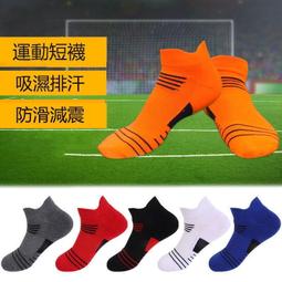 小童棉止滑短襪 包色6雙入 & 大童緹花中筒襪 包色5雙入 歷史價格詳細信息