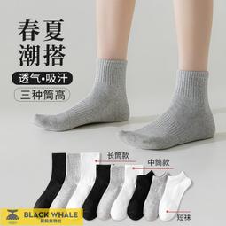 春夏季全棉中筒女襪點子紗卡通刺繡日系純棉可愛小狗網紅ins潮襪 歷史價格詳細信息