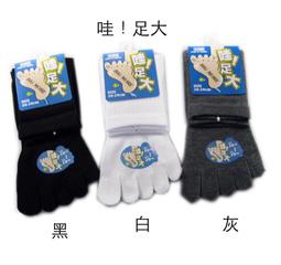 五感全開：充滿驚喜和意義的一年[二手書_良好]2680 TAAZE讀冊生活 歷史價格詳細信息