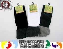 元素淨細網加厚洗衣袋【6件套組】(加厚材質/尺寸齊全)洗衣網 元素淨 內衣洗衣袋 歷史價格詳細信息