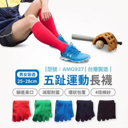 厚五趾襪 / 現貨 / 竹炭抗菌 / 萊卡 / 五指襪 / 多色 /氣墊襪/ AMG826【FAV】 歷史價格詳細信息