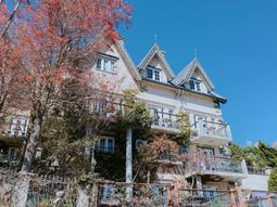 yoyo樂高lego 人仔疊疊樂 71038迪士尼 71012大白花木蘭71024 歷史價格詳細信息