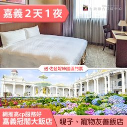 張嘉元同款衣服小魚圖案哇唧唧哇卡通印花清新可愛男女款短袖上衣#皇運 歷史價格詳細信息