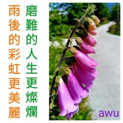 《罪行》費迪南．馮．席拉赫 先覺 ISBN:978986134173 歷史價格詳細信息