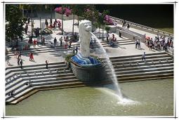 梵古禪修滿血駱駝骨手串片珠算盤盤珠佛珠民族風文玩男女手錬飾品 歷史價格詳細信息