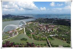 梵古禪修滿血駱駝骨手串片珠算盤盤珠佛珠民族風文玩男女手錬飾品 歷史價格詳細信息