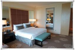 梵古禪修滿血駱駝骨手串片珠算盤盤珠佛珠民族風文玩男女手錬飾品 歷史價格詳細信息