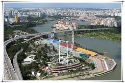 梵古禪修滿血駱駝骨手串片珠算盤盤珠佛珠民族風文玩男女手錬飾品 歷史價格詳細信息