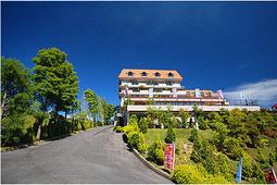 清代晚期的手繪青花高足小貢碗全品。20756 歷史價格詳細信息