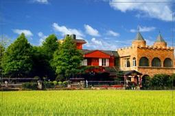 【Rock的家】宜蘭礁溪阿先湯泉養生會館-露天美人湯溫泉風呂SPA券 歷史價格詳細信息