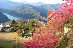 【飯店住宿】南投【峇嵐杉丘】奢華露營雙人一泊三食/星空露營帳(MO) 歷史價格詳細信息