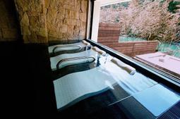 【Rock的家】烏來 湯布苑溫泉館-景觀湯屋一小時-加贈飲料及點心 歷史價格詳細信息