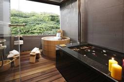 【北投】金都精緻溫泉飯店-親水景觀套房平日住宿券-1 歷史價格詳細信息