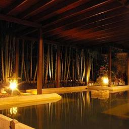 【附發票】每瓶特價45元，桂格 蜜人蔘 滋補液 60ml  (單瓶紙盒裝) ，桂格蜜人蔘 歷史價格詳細信息