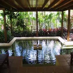 【附發票】每瓶特價45元，桂格 蜜人蔘 滋補液 60ml  (單瓶紙盒裝) ，桂格蜜人蔘 歷史價格詳細信息