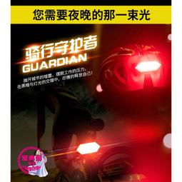 自行車尾燈 後燈 尾燈 自行車燈 腳踏車燈 單車燈 USB充電式車燈 警示燈 車尾燈 歷史價格詳細信息