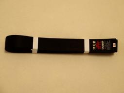 極真空手道護具三件套 拳套手套 護腿板 護襠 跆拳道護具散打護具  .  （超低價） 歷史價格詳細信息