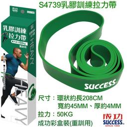 成功SUCCESS S4737 塑身迷你彈力帶 拉力帶 重訓帶 健身彈力帶 拉筋帶(2條入 - 初階 / 進階) 歷史價格詳細信息