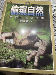 偷窺寵松鼠創意掛勾 趣味掛鈎 強力粘膠貼牆壁掛勾廚房牆上無痕釘門後免打孔承重 裝飾品 文青小物 趣味商品  典贊創意 歷史價格詳細信息