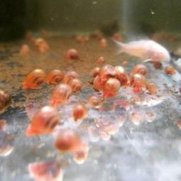 單天出貨【現貨】高音質 無損 車用汽車隨身碟車載歌曲 2023抖音新歌 流行網紅音樂 流行歌曲 汽車用品 重低音 舞曲 歷史價格詳細信息