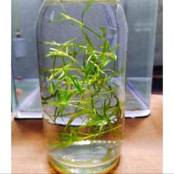 現有更新????天晴日☀️多功能 多收納 學院風 流蘇 韓版 氣質 束口 清新款 雙肩 後背包 手提 單肩 歷史價格詳細信息