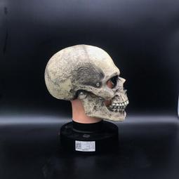 萬圣節妝容臉貼 兒童紋身貼卡通可愛水轉印貼紙萬圣鬼節派對甜酷 歷史價格詳細信息