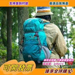 可摺疊旅行包女大容量輕便超大待產包收納袋短途旅遊包手提行李包 歷史價格詳細信息