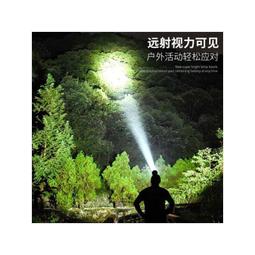 強光頭燈 充電超亮 頭戴式照明燈 戶外鋰電手電筒 感應夜釣魚專用礦燈 LED頭燈 頭戴燈 打獵頭燈 釣魚頭燈 登山頭燈 歷史價格詳細信息