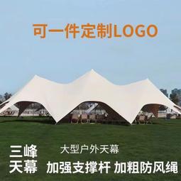 【熱賣】天幕戶外露營帳篷遮陽棚防暴雨防曬鋁合金超輕加厚便捷式野營涼棚 歷史價格詳細信息