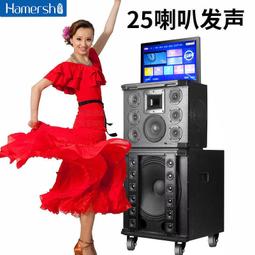 廣場舞音響帶顯示屏幕家用k歌麥克風戶外音箱ktv一體機可攜式 歷史價格詳細信息