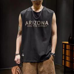 美式重磅純棉t恤夏季男士潮牌短袖街頭風潮男痞帥寬鬆短袖t恤上衣 短袖上衣 短袖t恤 男生衣服 休閒寬鬆短袖 歷史價格詳細信息