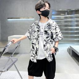 男童夏裝休閒短褲大童2024新款兒童中褲夏季薄款五分褲男孩潮外穿 歷史價格詳細信息