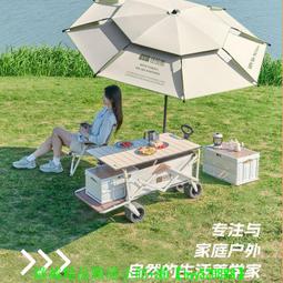 探險者燒烤爐家 燒烤架戶外折疊烤 爐子架子木炭露營工具便攜式 歷史價格詳細信息