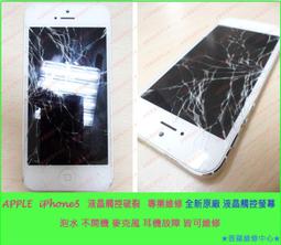 iphone5 聽筒 正品蘋果五代聽筒 原裝5代內置聽筒 歷史價格詳細信息