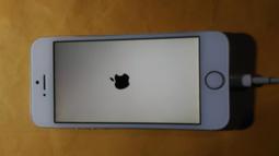 Apple iPhone 5S A1530 故障 零件機 歷史價格詳細信息