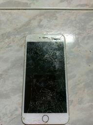 AE524 羊年2015年104年 乙未羊年生肖紀念套幣 盒說明書 附收據 要求完美者 請勿投標! 歷史價格詳細信息