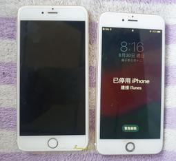 AE524 羊年2015年104年 乙未羊年生肖紀念套幣 盒說明書 附收據 要求完美者 請勿投標! 歷史價格詳細信息