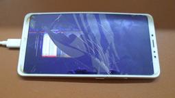 小米Max 碳纖維背膜 小米max 背膜 防刮 防指紋 半透明 [Apple小鋪] 歷史價格詳細信息