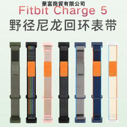 Fitbit Charge 5/6 磁吸線 歷史價格詳細信息