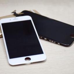 工廠價白玉菩提根手串大顆圓珠男女菩提子佛珠蓮花手鍊天然高密 歷史價格詳細信息