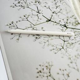 Apple Pencil (第二代) 神腦生活 預購賣場 歷史價格詳細信息