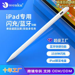 適用ipad電容筆觸屏觸控筆主動式繪畫筆學生手寫筆磁吸電容筆 歷史價格詳細信息