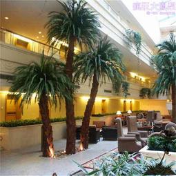 支持來圖製作仿真棕櫚樹扇葵樹葵蒲葵樹 大型工程造景假樹 歷史價格詳細信息