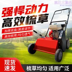 草皮釘草機壓草釘草一體機 雙驅振動壓路機草坪壓釘機 打孔留根機 歷史價格詳細信息