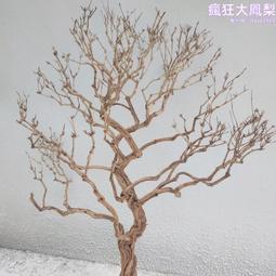 仿真枯樹造型室內仿真枯樹造景居家客廳櫥窗人造枯樹擺件裝飾 歷史價格詳細信息
