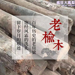 老榆木書架置物架復古落地展示架中式多寶閣全實木收納書櫃陳列架 歷史價格詳細信息