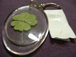 ♣ 幸運草工坊 ♣ 四+四葉幸運草 ♣ (天然酢漿草壓花) 生日 考生 情人節 禮物 10008-92 歷史價格詳細信息